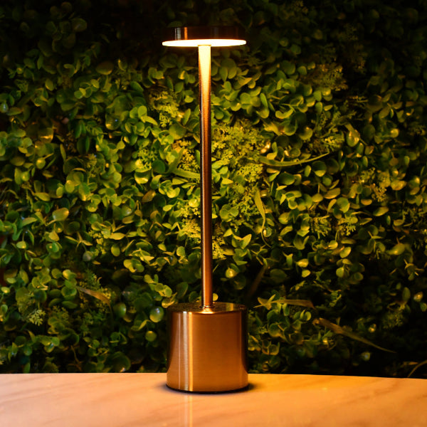 Rechargeable Metal Desk Lamps (Silver)