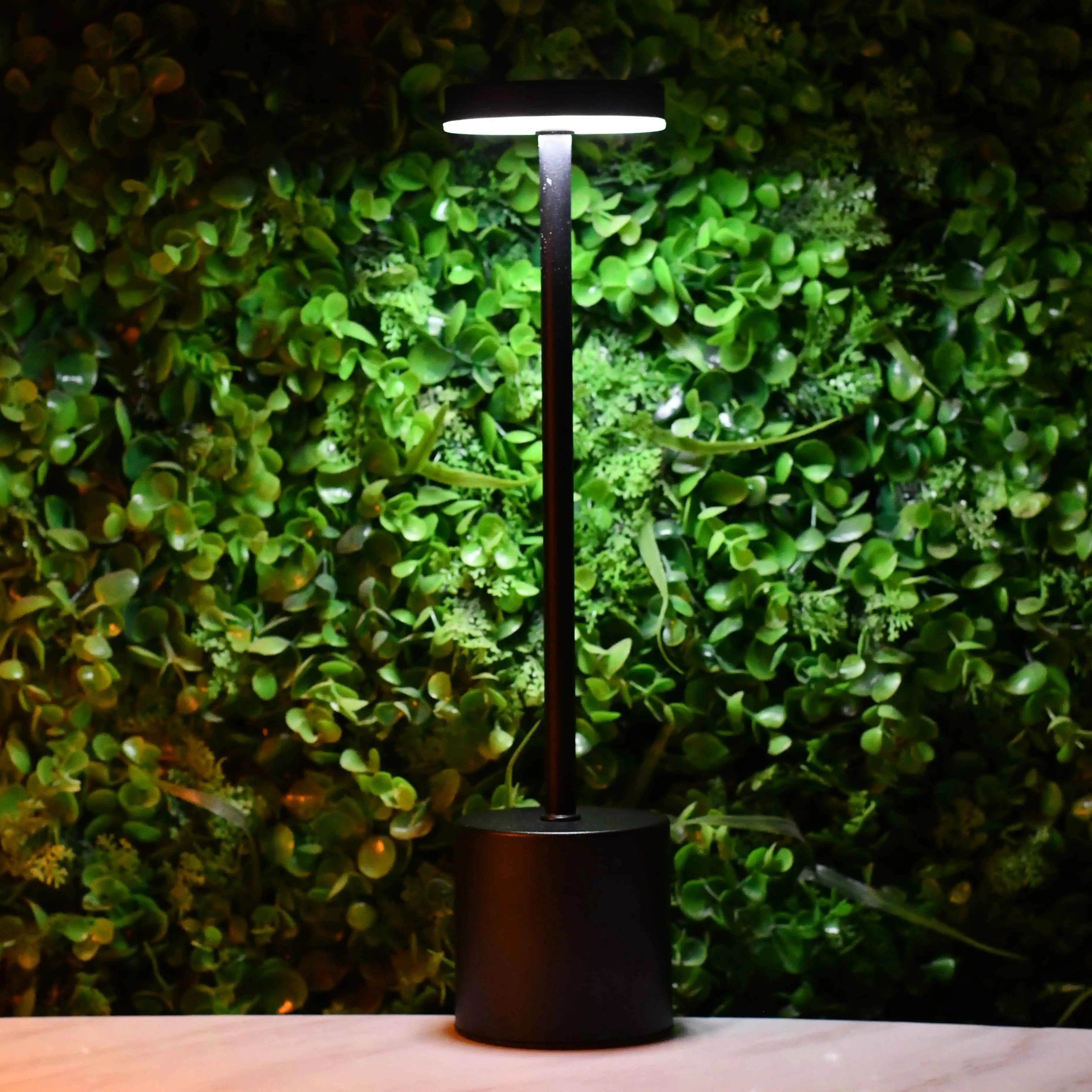Rechargeable Metal Desk Lamps (Black)