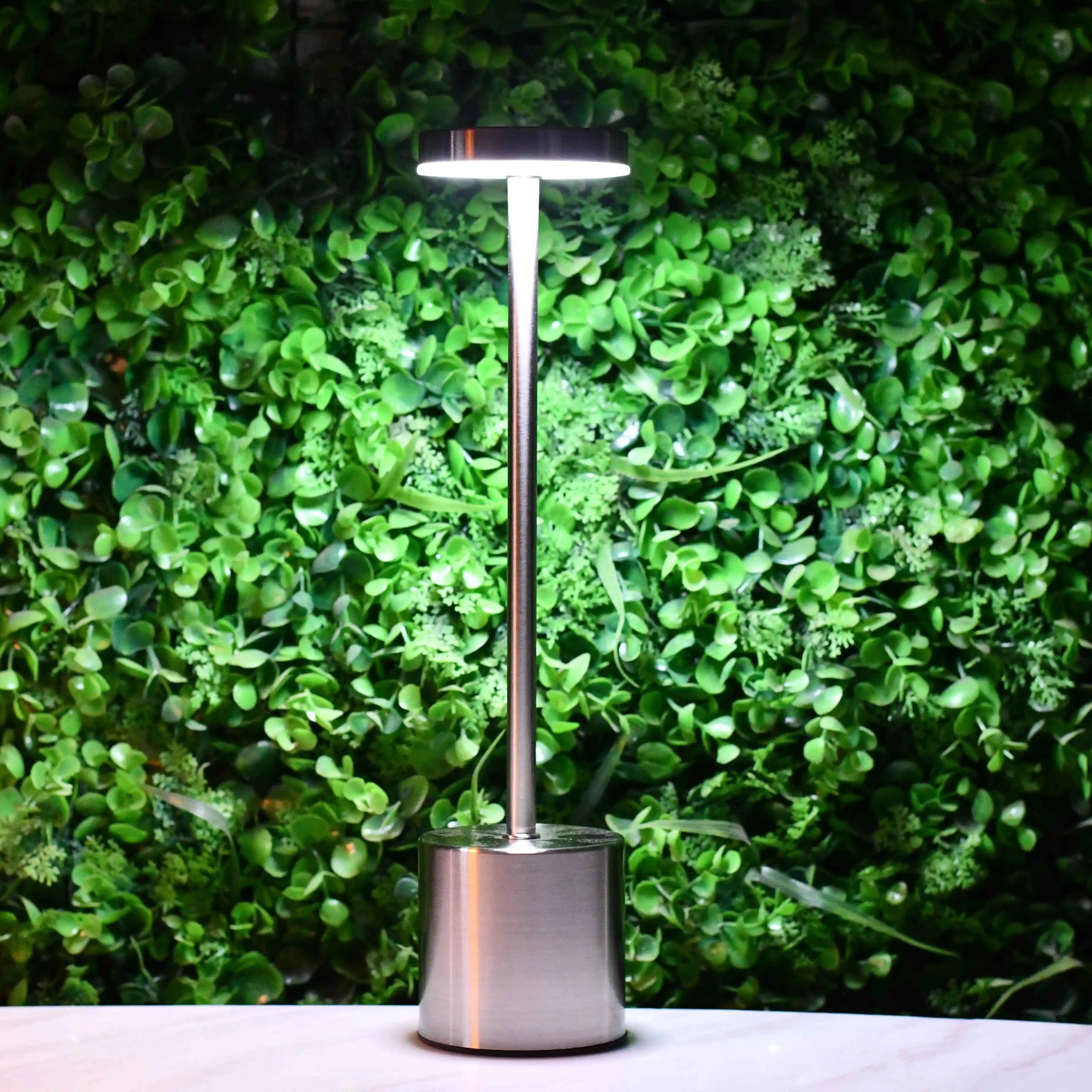 Rechargeable Metal Desk Lamps (Silver)