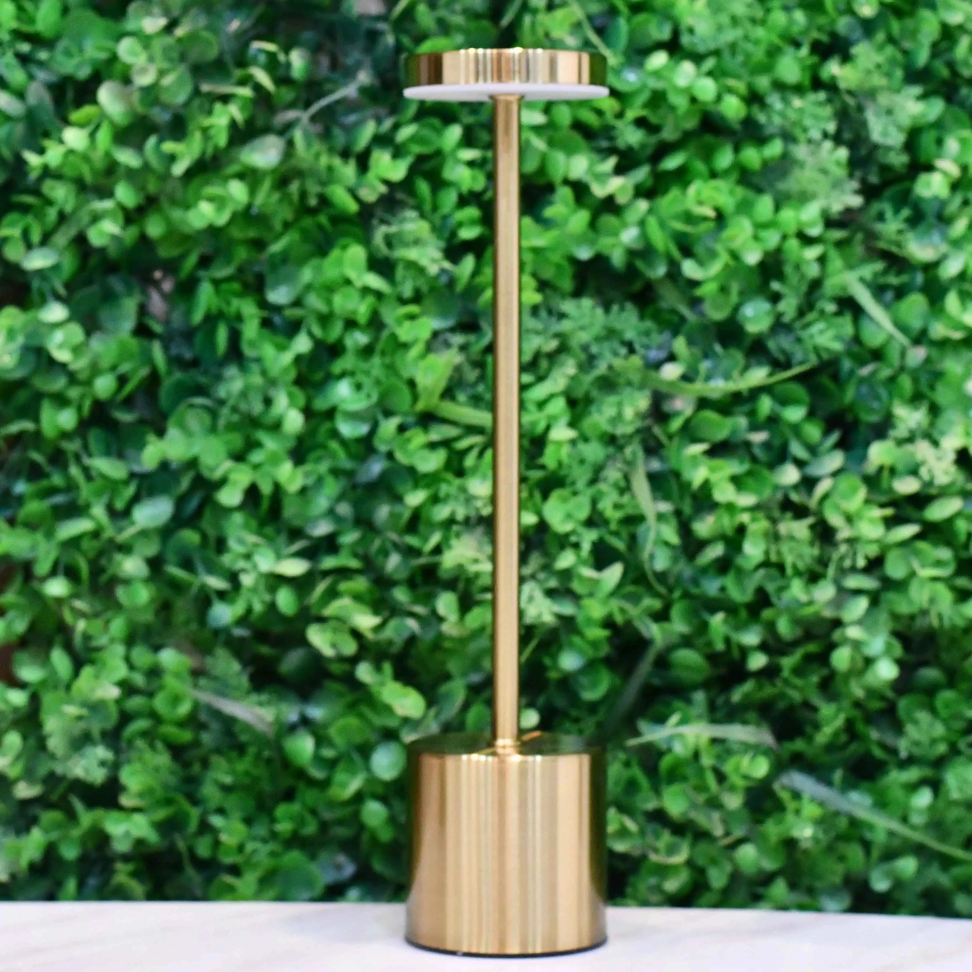 Rechargeable Metal Desk Lamps (Gold)